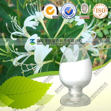 Honeysuchle Flowers Extract Chlorogenic Acid 5%-98%